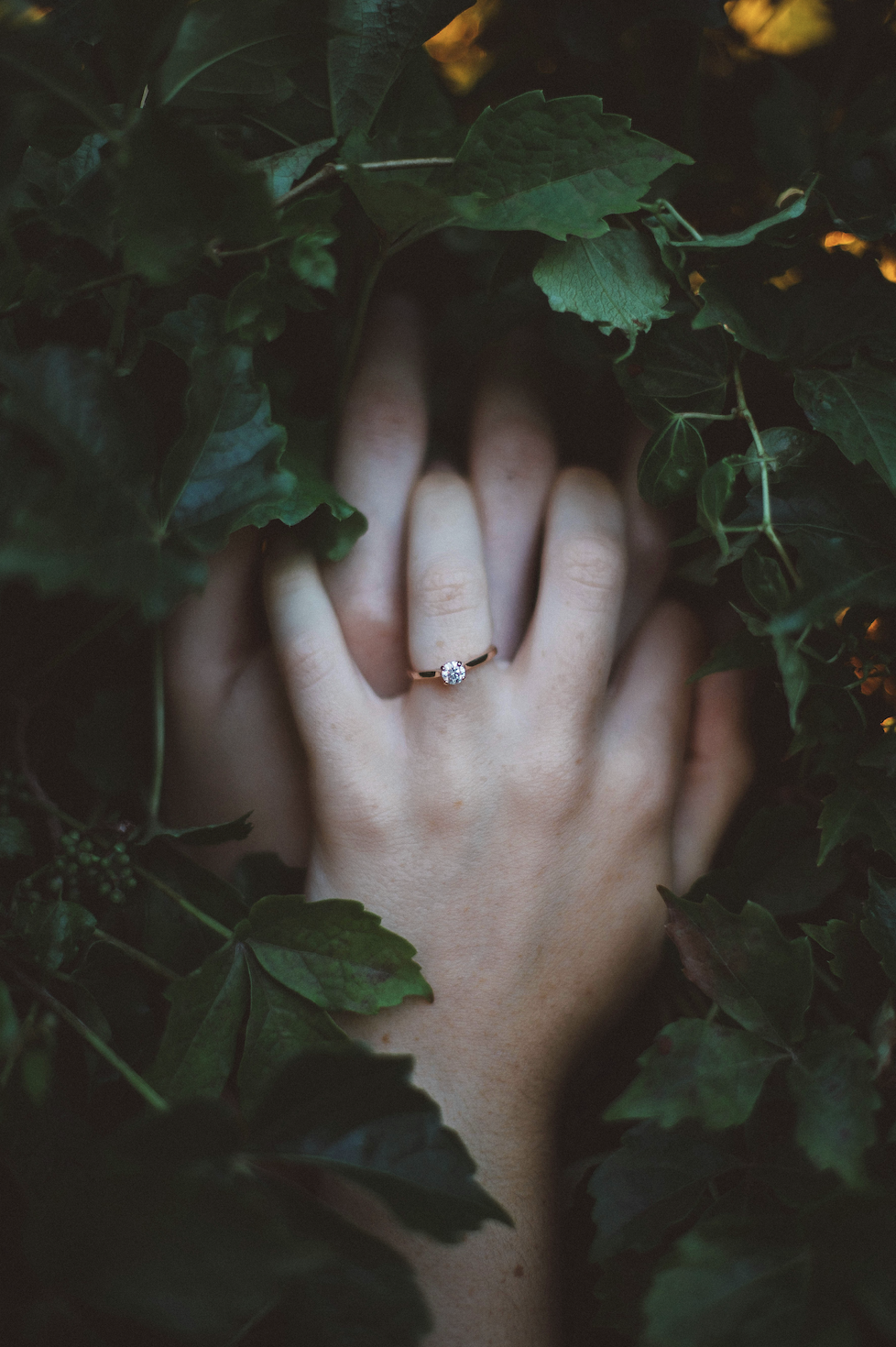 Rewiren tunnekeskeisessä pariterapiassa työskennellään sekä mielen että hermoston tasolla – vapauttaen suhdetta menneisyyden selviytymismalleista ja vahvistaen turvaa.