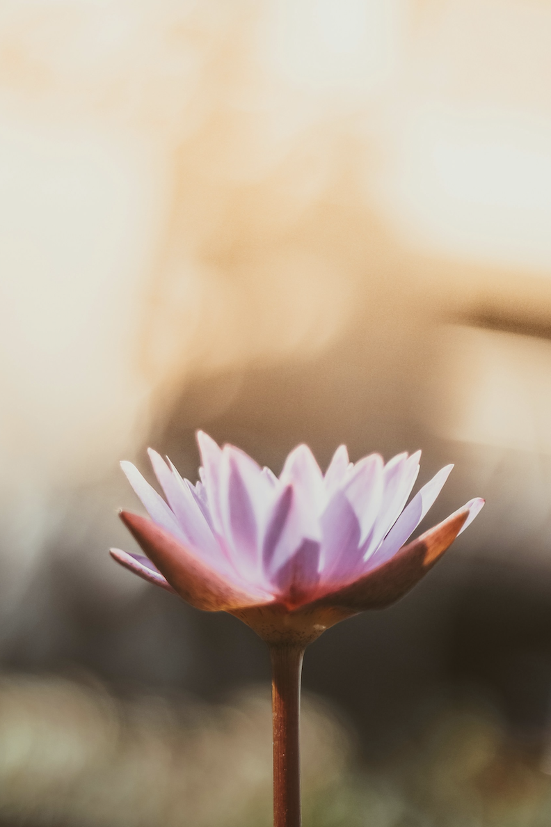 Tehokasta helpotusta stressiin Helsingissä!